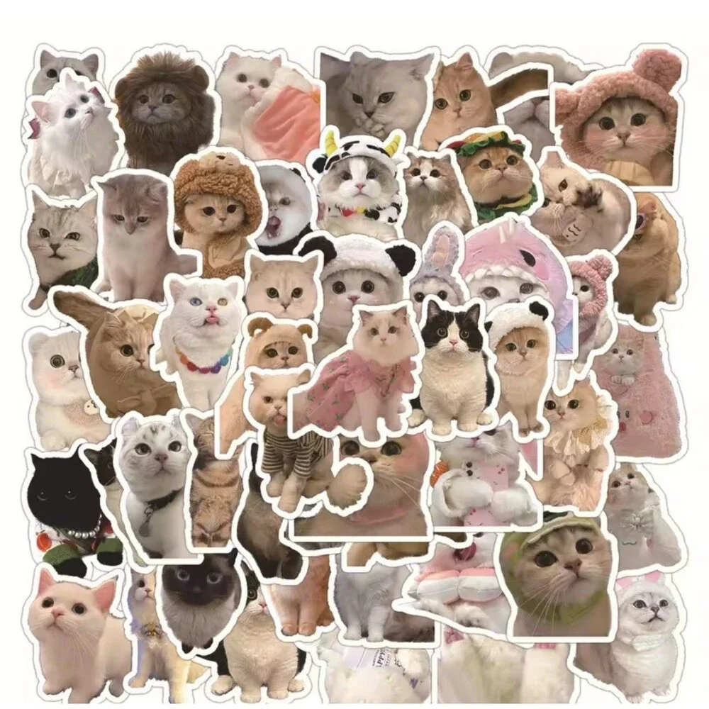 60 Cute Cat Stickers Kawaii Waterproof Vinyl Laptop Water Bottle Journal Scrapbo